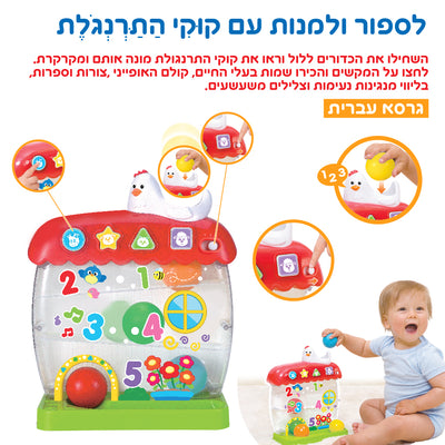 למנות ולספור עם קוקי התרנגולת