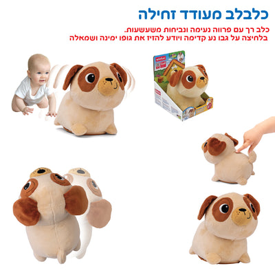 מעודד זחילה וובלי הכלבלב