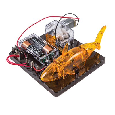 בניית רובוט דג חשמלי